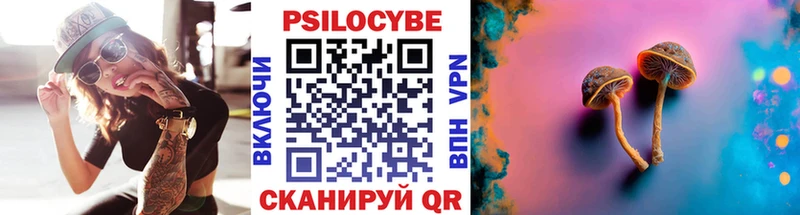 blacksprut ONION Абакан Псилоцибиновые грибы Psilocybe
