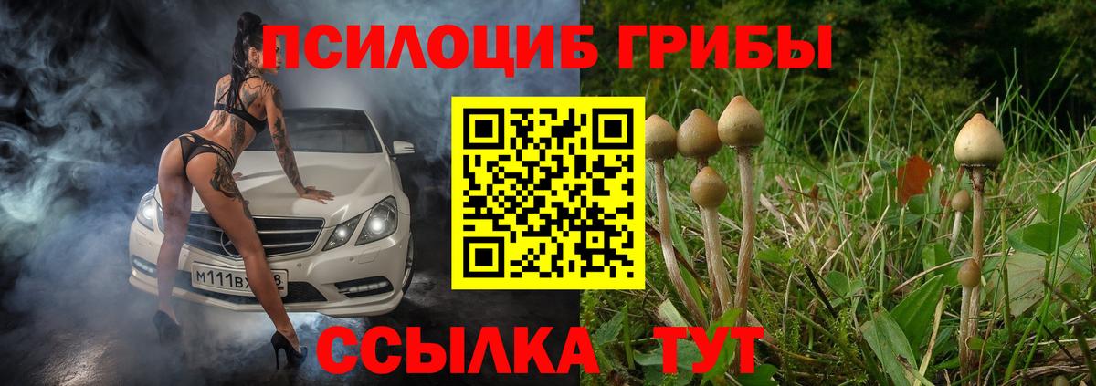 Псилоцибиновые грибы ЛСД Абакан